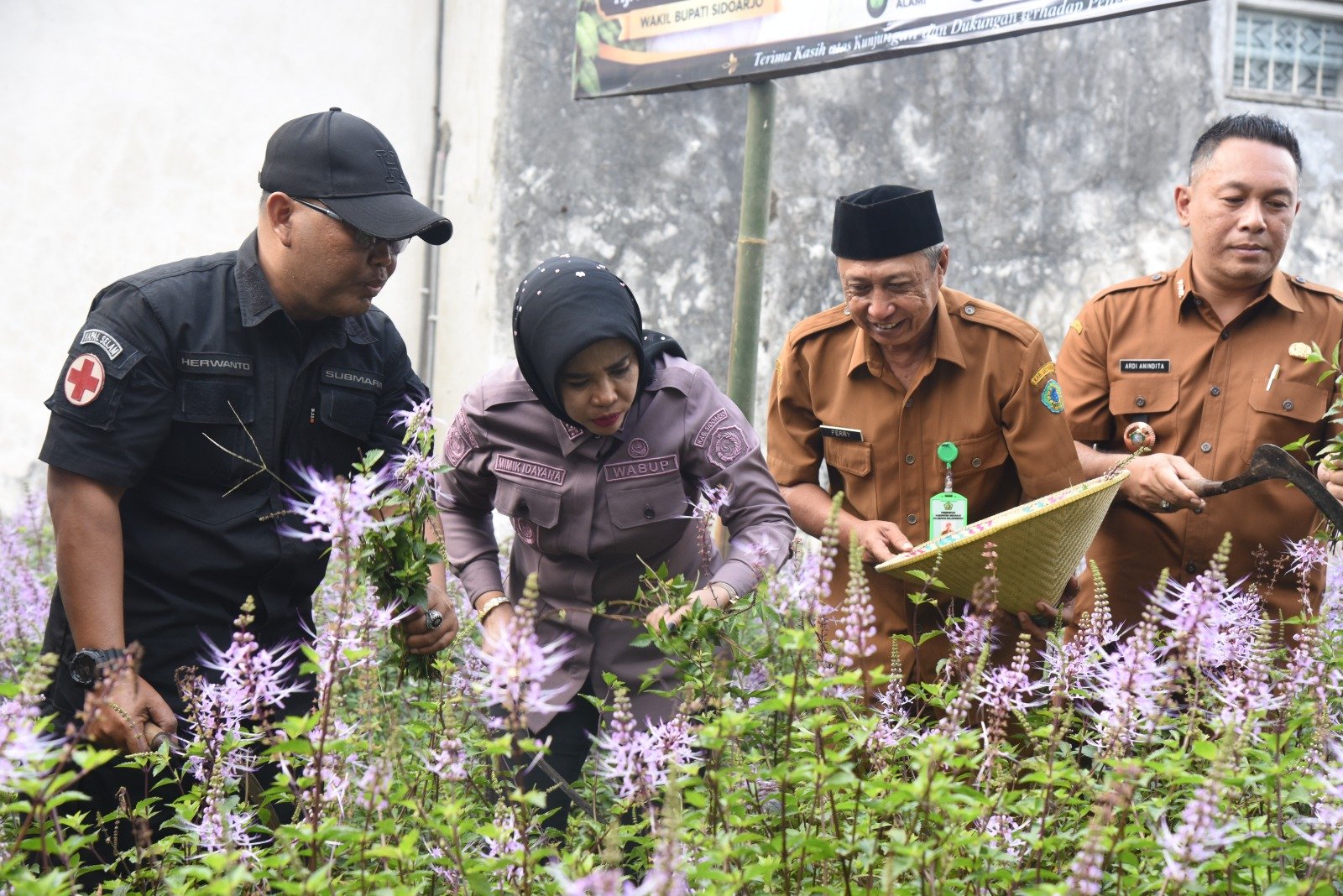 Wabup Sidoarjo Apresiasi UMKM Herbal Teh Daun Kumis Kucing.